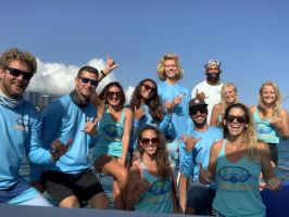 diving sites in honolulu Living Ocean Tours