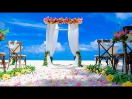 beach weddings honolulu Wedding in Hawaii on the beach