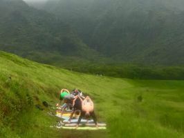 family yoga centers in honolulu Beach | Sunset Yoga Hawaii  -waikiki