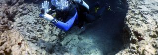 diving sites in honolulu Island Divers Hawaii
