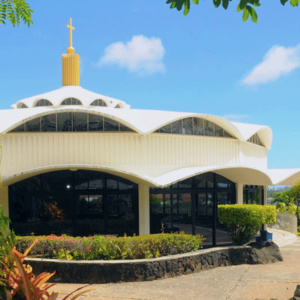 The Mystical Rose Oratory welcomes people of all faiths to the Sunday Eucharistic Liturgy in the Catholic tradition. Mystical Rose Oratory is the spiritual home of our...
