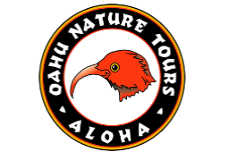 gay tour honolulu Oahu Nature Tours