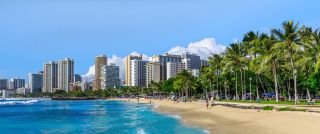 minibus rentals with driver in honolulu Little Hawaii Rent A Car