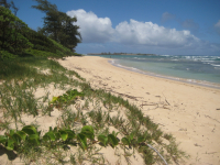 luxury campsites honolulu Mālaekahana State Recreation Area