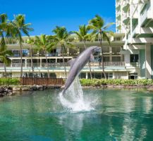 weddings among vineyards in honolulu The Kahala Hotel & Resort