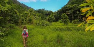 mountain camping in honolulu Kuli‘ou‘ou Ridge Trail