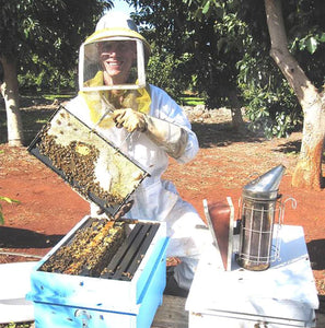 pure bee honey stores honolulu Hawaiian Rainbow Bees