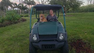 dog sitter honolulu Aloha Pet Sitters