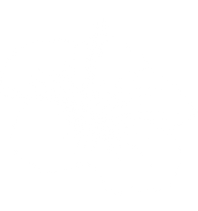 hibiscus flower hawaii
