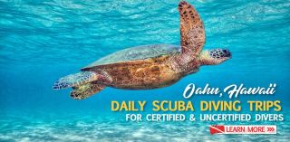 scuba diving shops in honolulu Hawaii Diving Adventures (Warehouse)