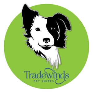 dog boarding kennels in honolulu Tradewinds Pet Suites