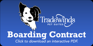 dog boarding kennels in honolulu Tradewinds Pet Suites