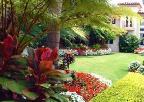landscapers honolulu Paradise by Design Landscaping Inc.