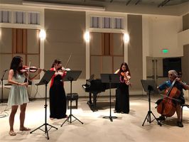 music schools honolulu Virtuoso Violin Hawaii