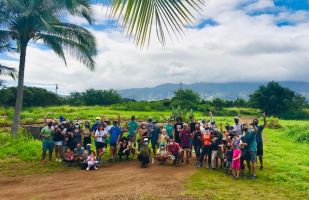 meeting room rentals in honolulu Hub Coworking Hawaii