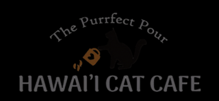 places to adopt pets honolulu Hawaii Cat Cafe