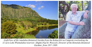 In 2022 we celebrated the 40th anniversary of Ho‘omaluhia Botanical Garden with a series of events highlighting the City’s largest botanical garden and the staff who made this priceless parcel of tropical tranquility possible.