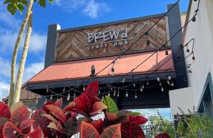 dog friendly pubs honolulu BREW'd craft pub