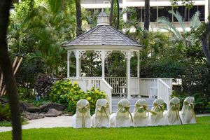 We will help you to make your dream Hawaii wedding a reality.