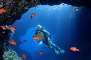 diving sites in honolulu Banzai Divers Hawaii