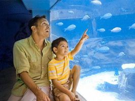theme parks for children in honolulu Sea Life Park Hawaii