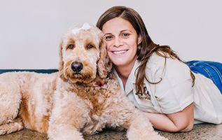 cat trainers in honolulu Alii Animal Hospital & Resort