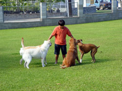 Tyler and friends.