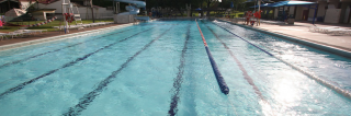 gymnasiums with swimming pools in honolulu Scott Pool